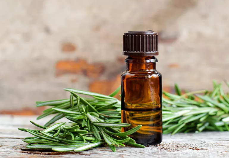 Rosemary Essential Oil 