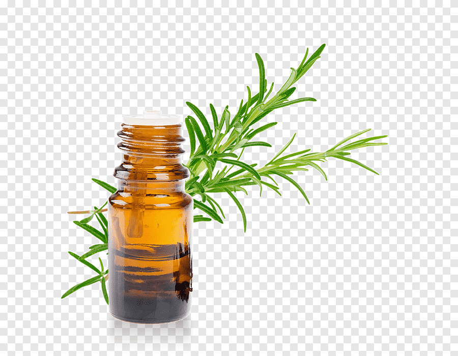 Rosemary Essential Oil